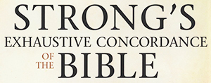 Elohim God elohim; bible concordance; god the father; world mission society church of god