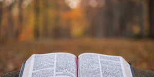 ahnsahnghong in the bible